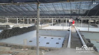 蝦池漆 養蝦池漆 工廠化水產養殖專用施工規范