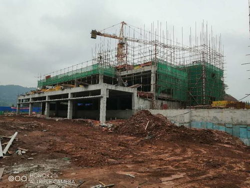 蓬安梧桐大院項目建設工程施工有序推進